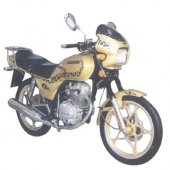 2013 Geely JL125 Puma photo